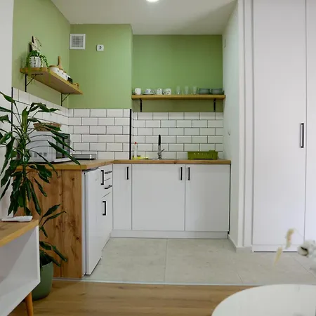 Victoria Apartment Ohri Dış mekan fotoğraf